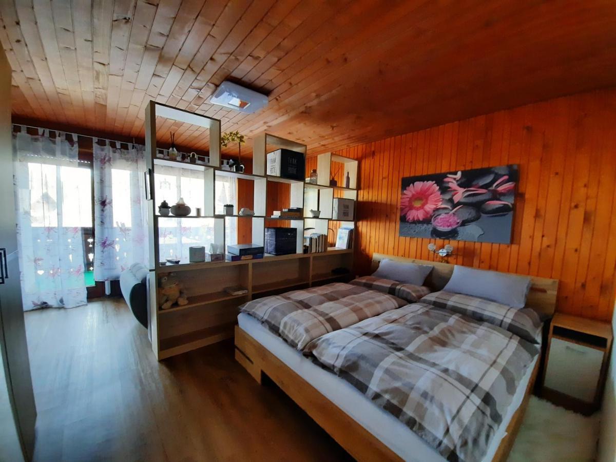 Apartment Snezak 2