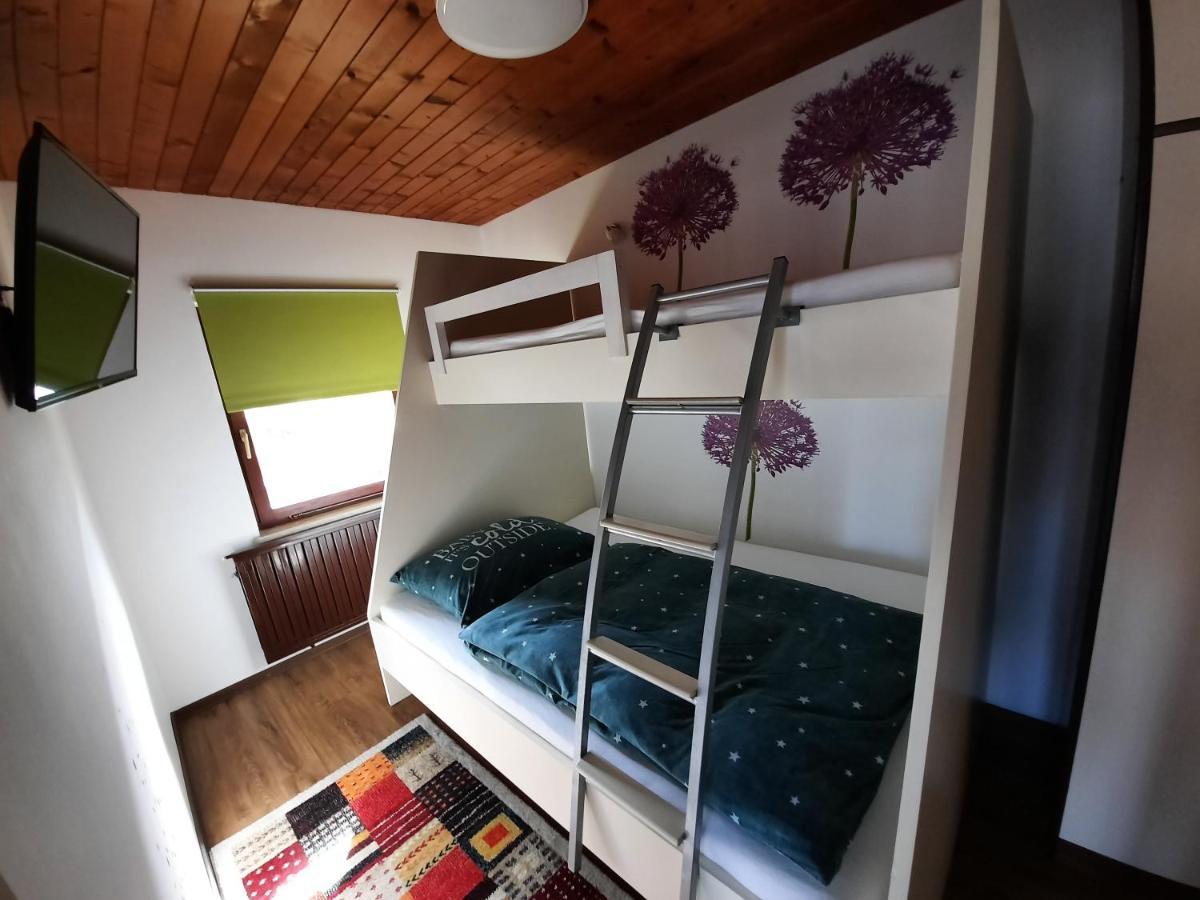 Snezak 2 Bohinj