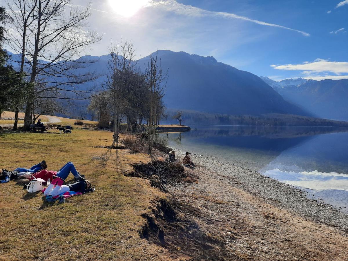 Snezak 2 Bohinj