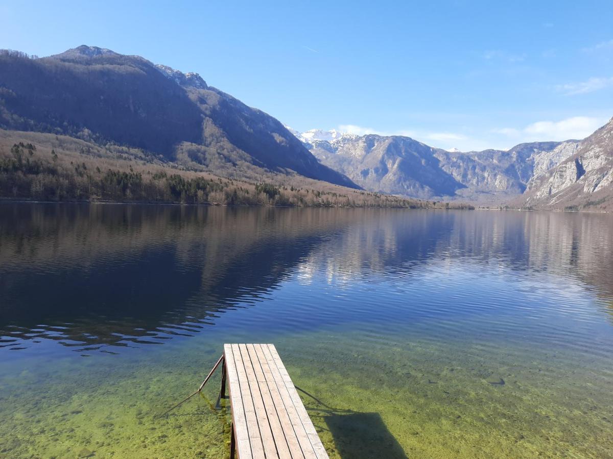 Snezak 2 * Bohinj
