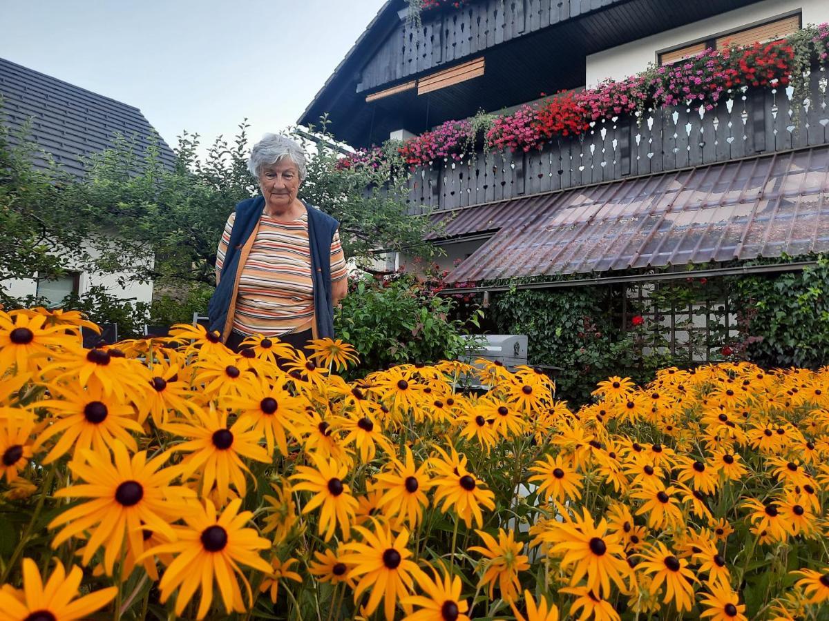 Snezak 2 Bohinj