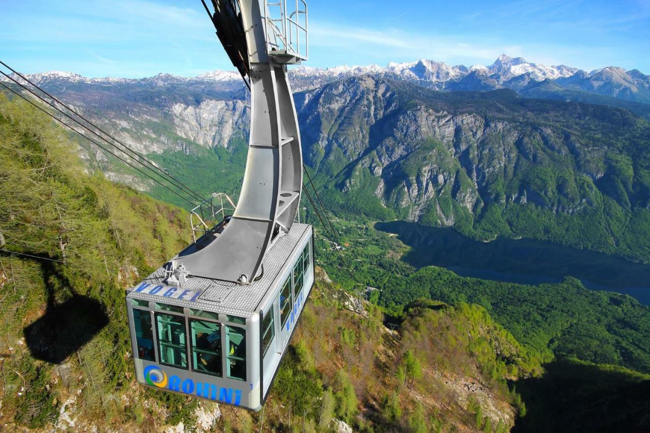 Snezak 2 * Bohinj