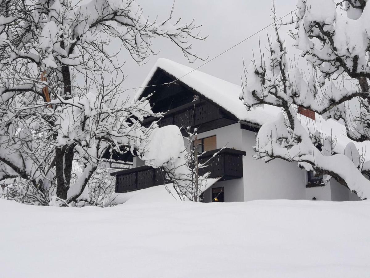 Snezak 2 Apartment