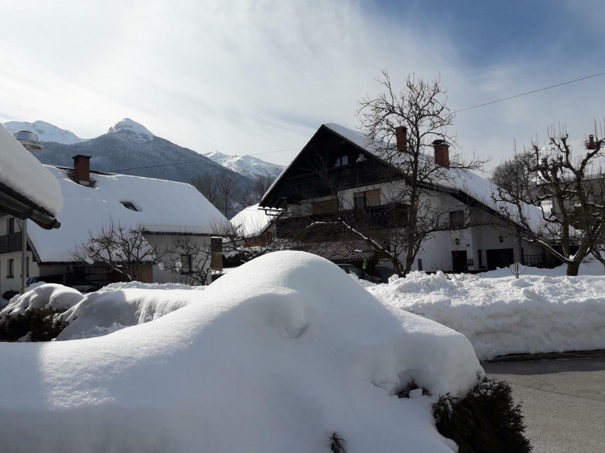 Snezak 2 * Bohinj