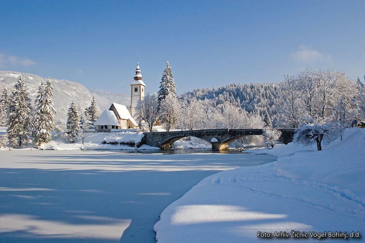 Snezak 2 Apartment Bohinj