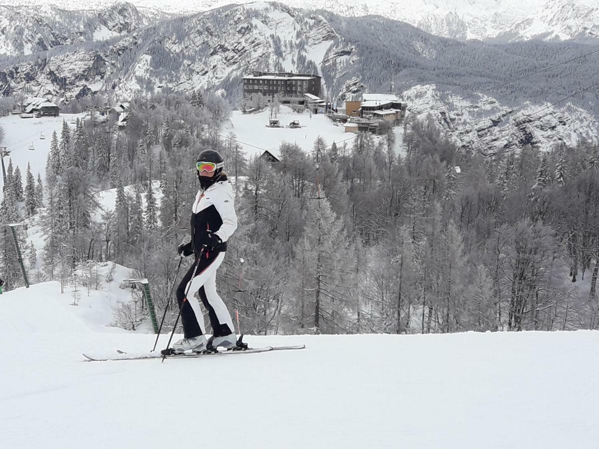 Snezak 2 * Bohinj
