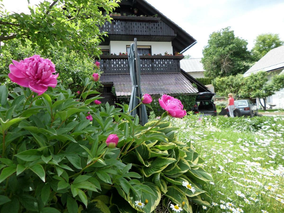 Snezak 2 * Bohinj