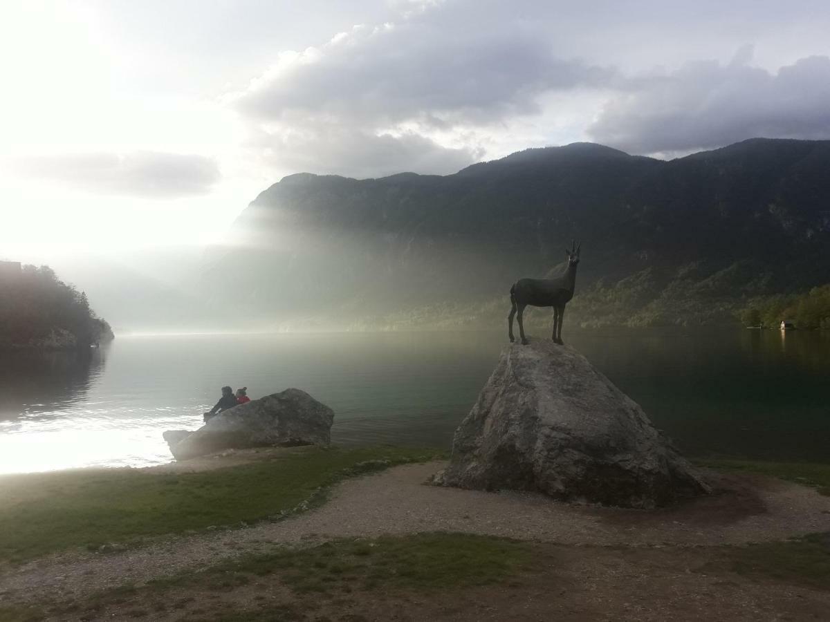 Snezak 2 * Bohinj
