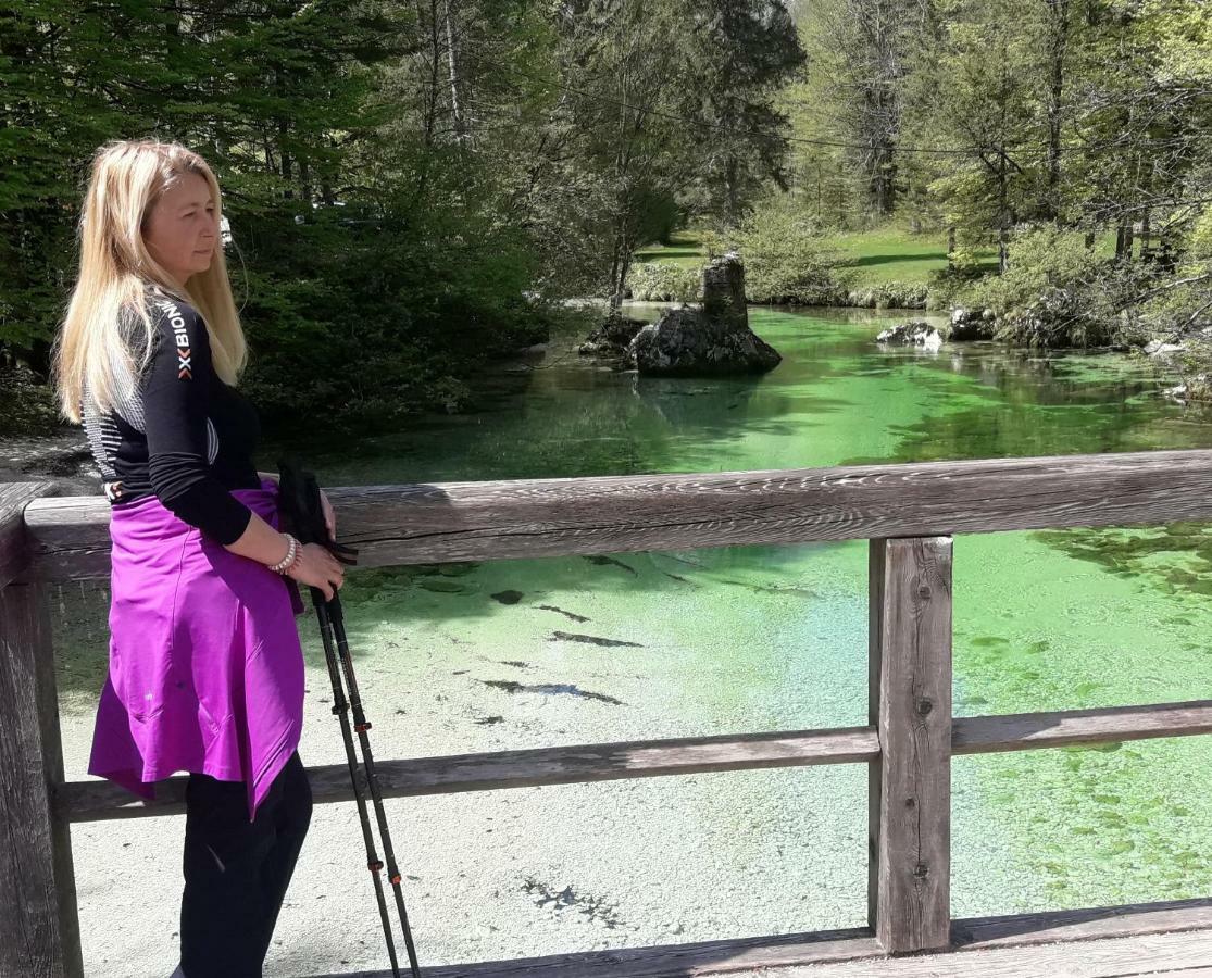 Snezak 2 * Bohinj