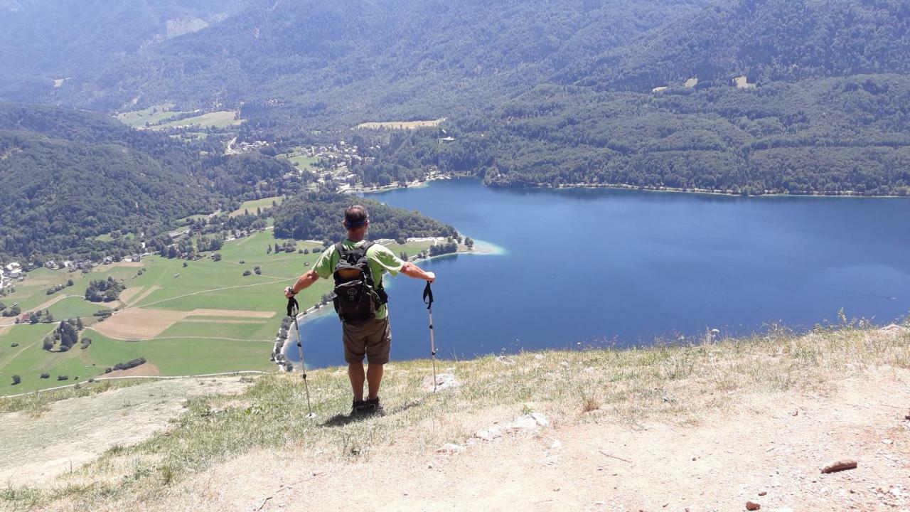 Snezak 2 Apartment Bohinj