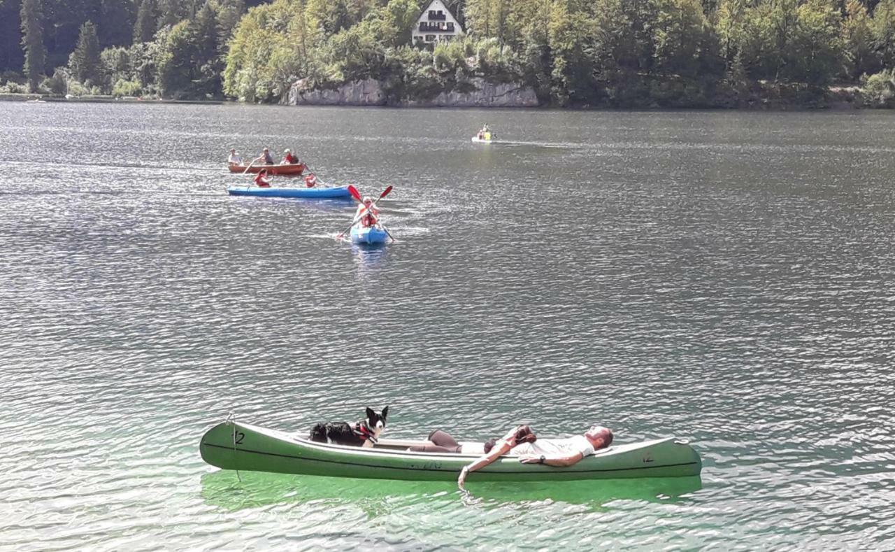 Snezak 2 Bohinj